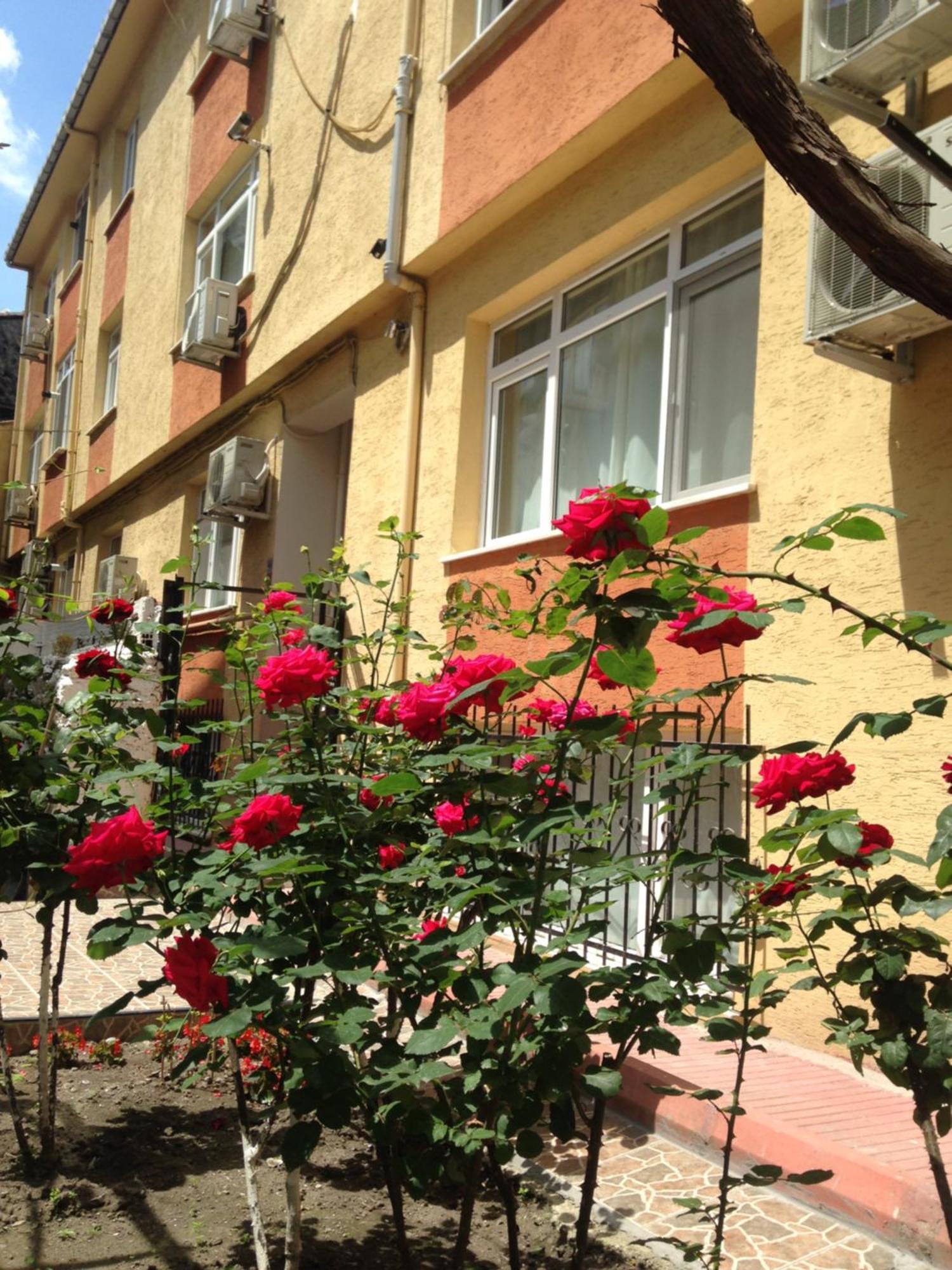 Sultanahmet Deluxe Yilmaz Apart اسطنبول المظهر الخارجي الصورة